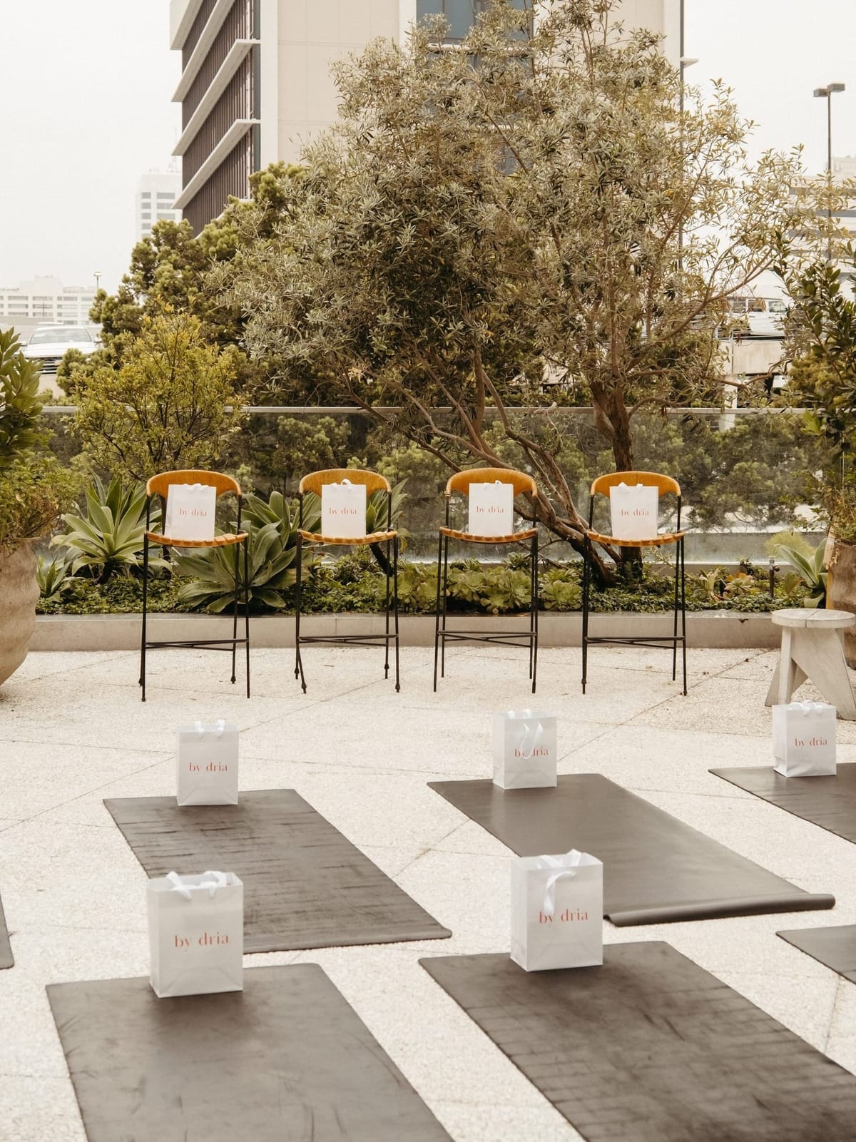 by dria wellness morning in los angeles