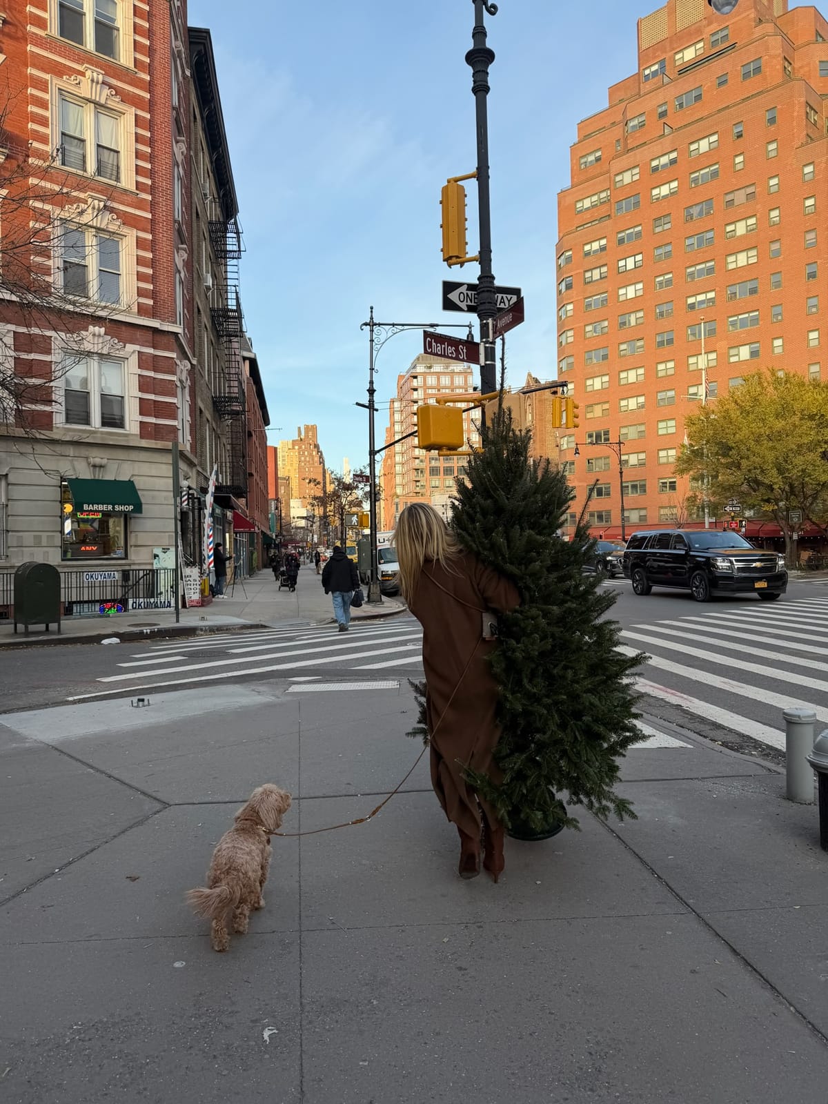 holiday tradition, cookie fail, & mindset shifts