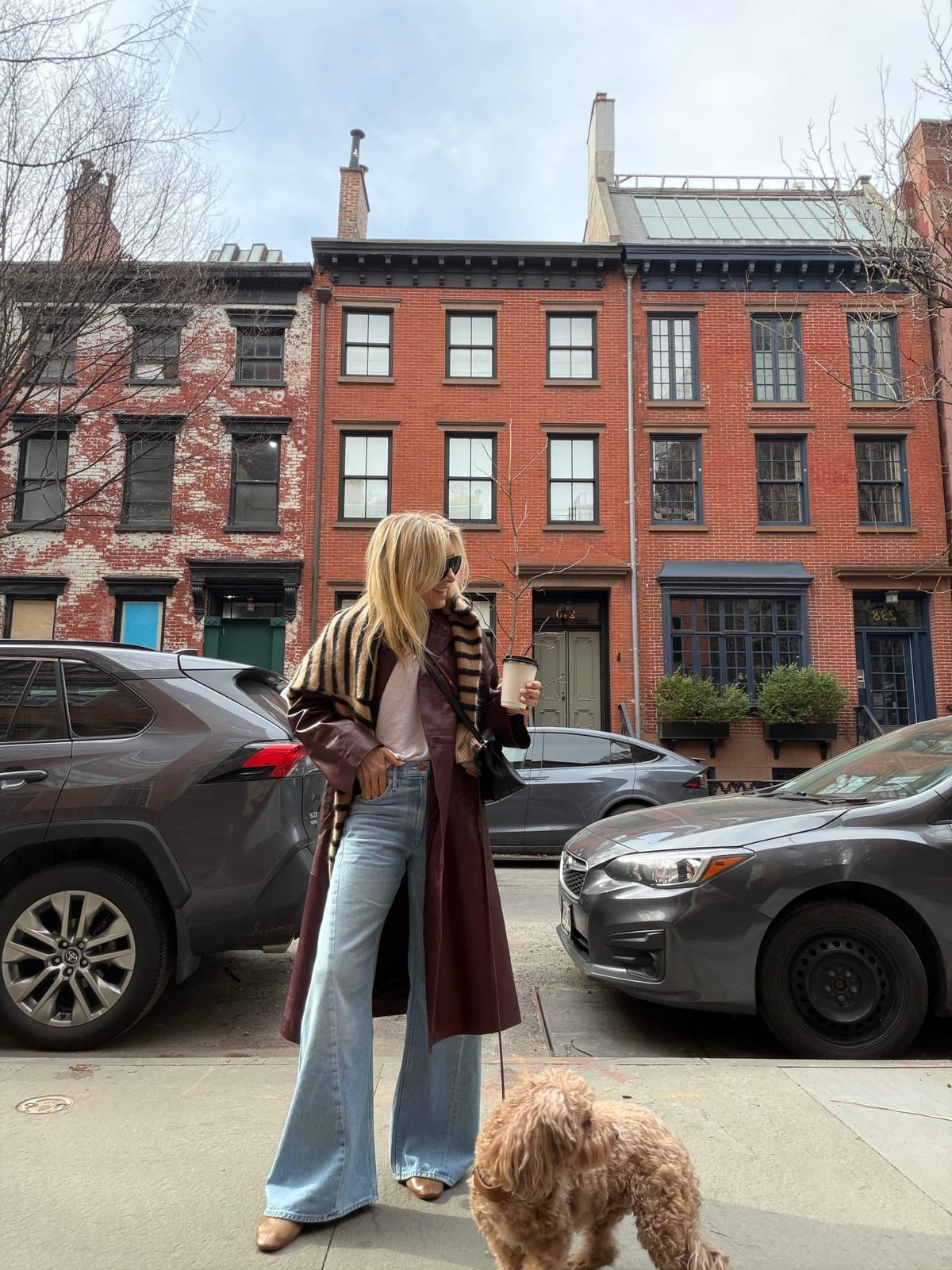 blue lace, spiced mackerel, & some good brand events