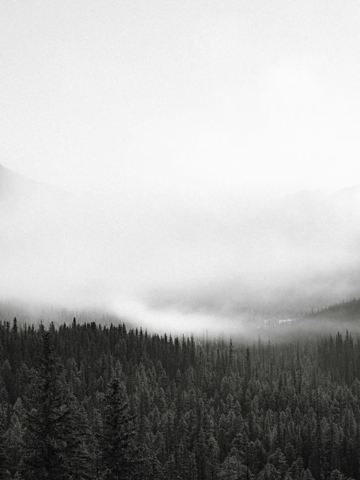 mecca health: the mecca method