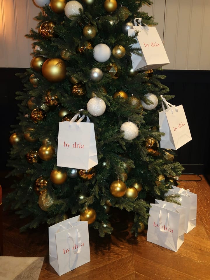 wellness in the holiday season