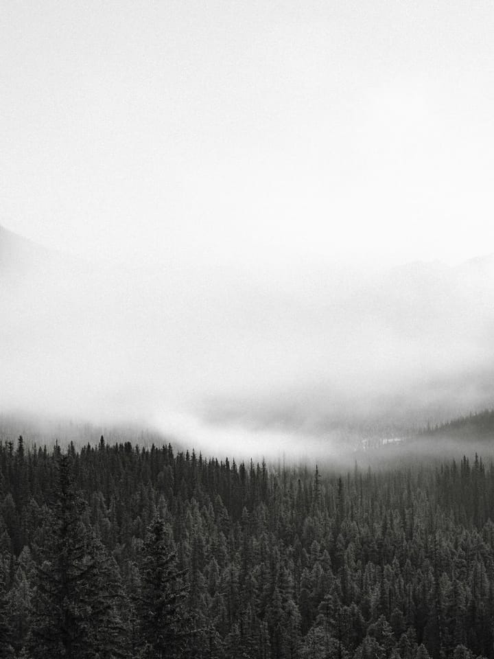 mecca health: the mecca method